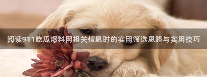 黑料今日热点