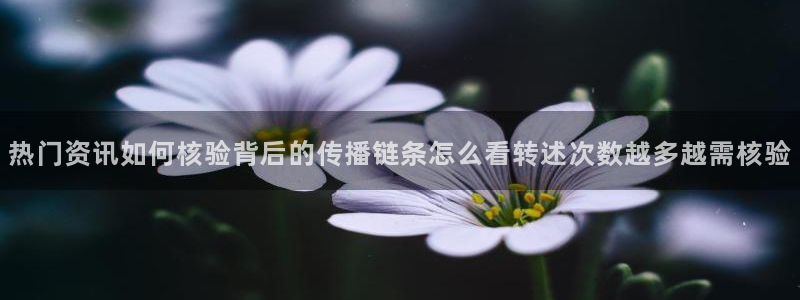 热门资讯排行