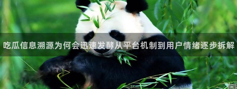 黑料最新热点