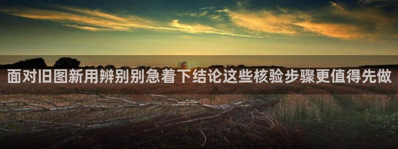 黑料热点动态